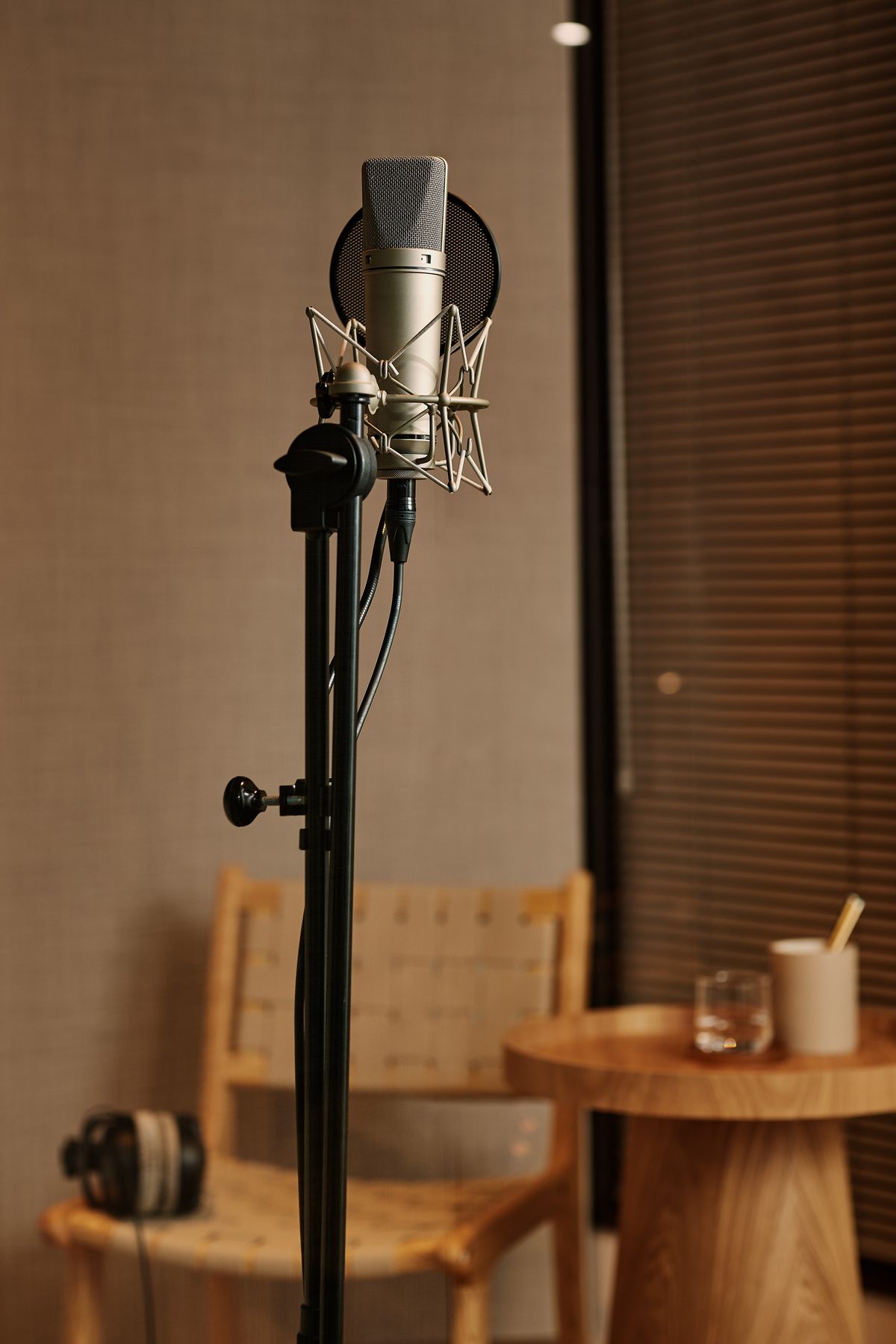 Large-diaphragm condenser microphone in the vocal booth